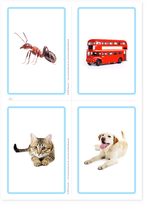 Free Alphabet flashcards