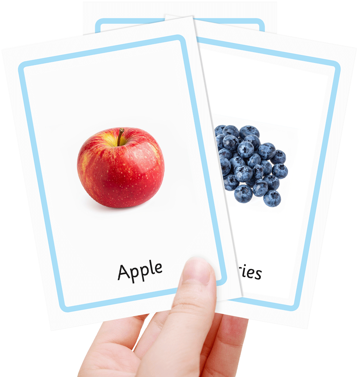 Free fruits flash cards