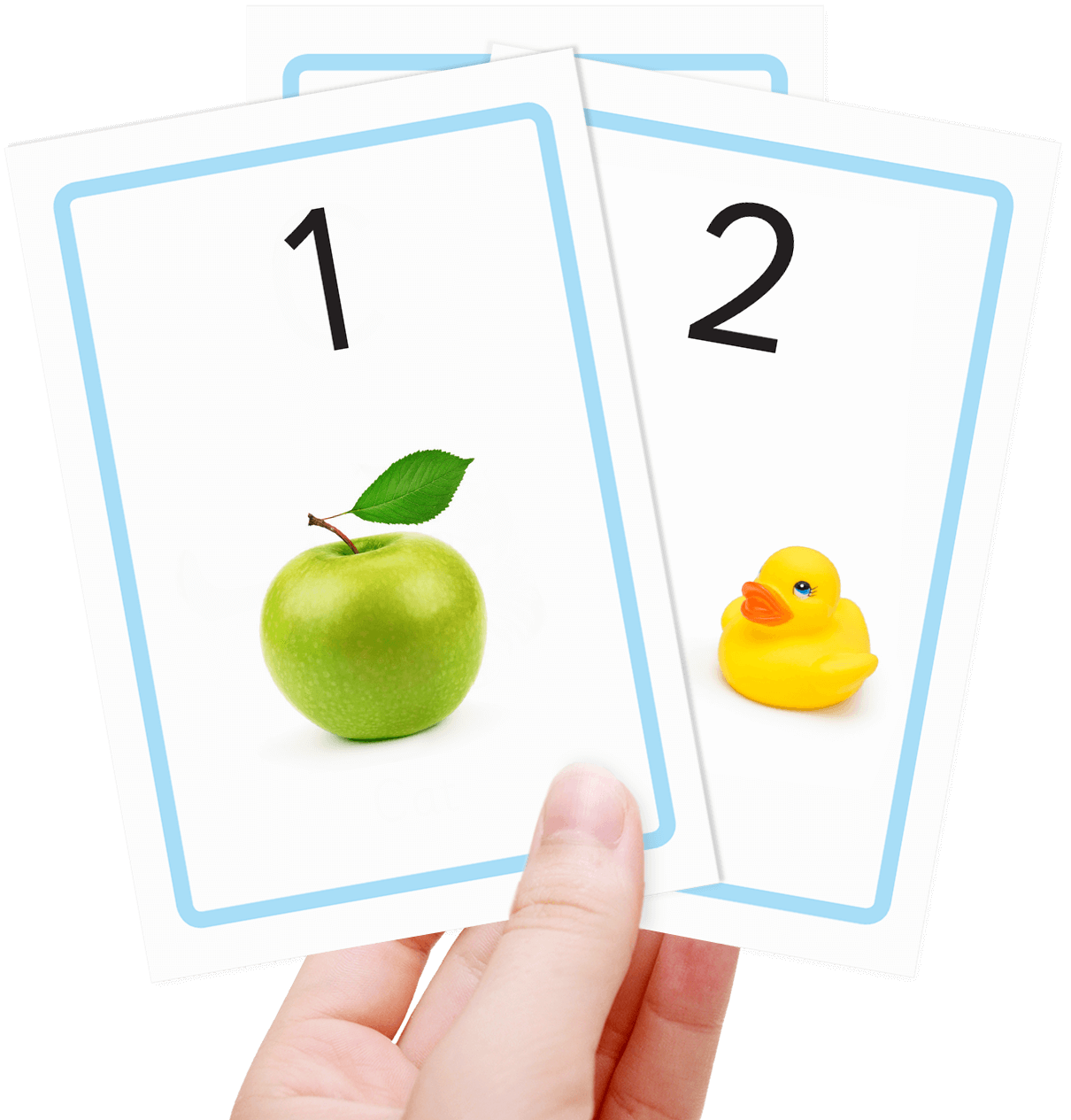 Free number flash cards