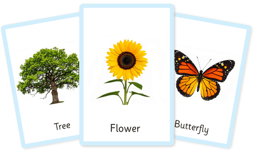 Outside flashcards